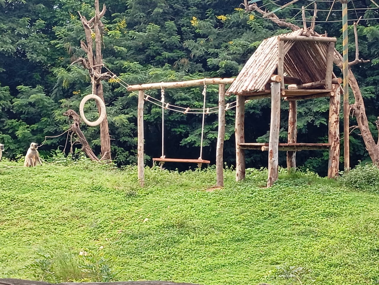 department